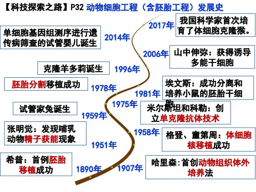 2.2动物细胞工程课件2021-2022学年高二下学期生物人教版选择性必修3