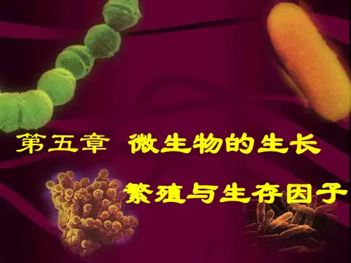 微生物生长繁殖五ppt课件