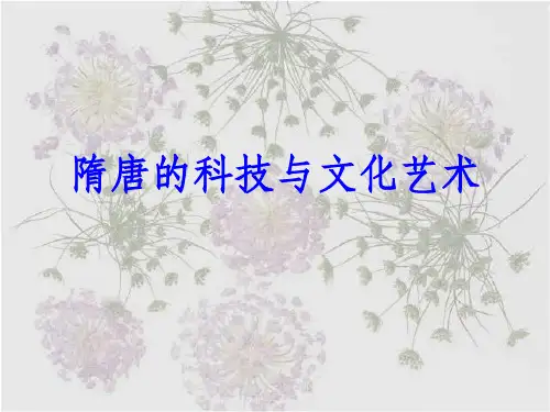 隋唐的科学技术ppt课件