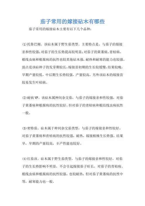 茄子常用的嫁接砧木有哪些