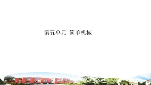 青岛版六年级科学上学期第五单元复习课件ppt
