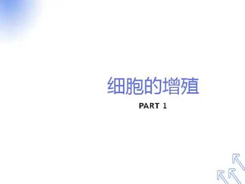 细胞的增殖课件动画版