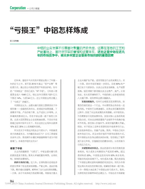 亏损王_中铝怎样炼成_王丹青