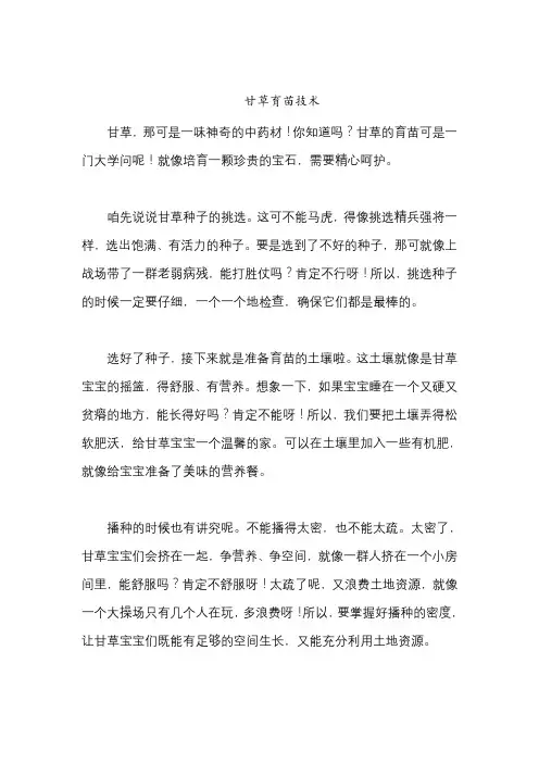 甘草育苗技术