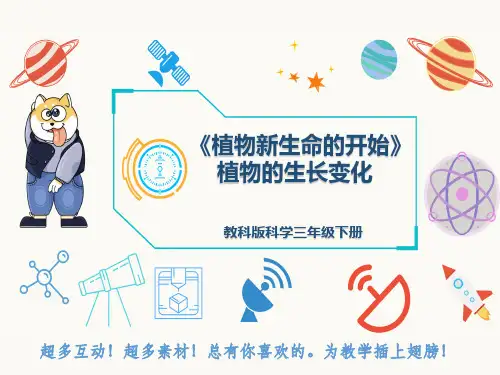 教科版科学三年级下册《植物新生命的开始》植物的生长变化