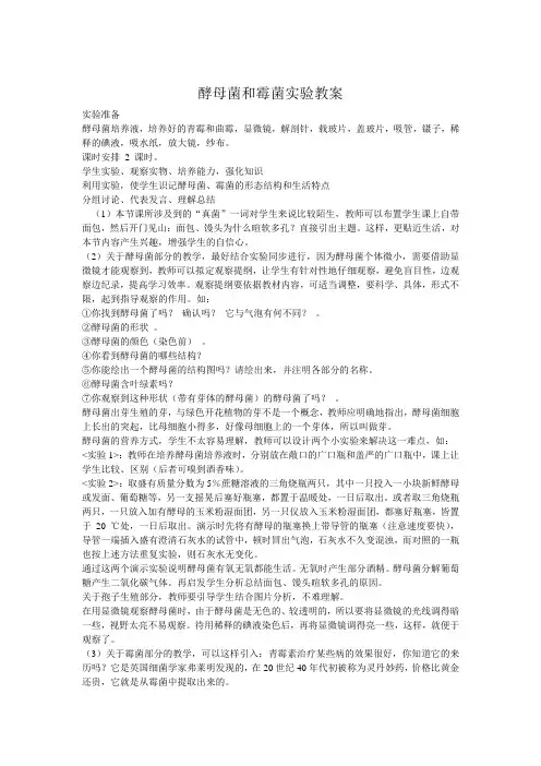 酵母菌和霉菌实验教案
