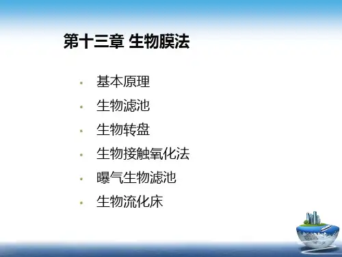 第十三章 生物膜法