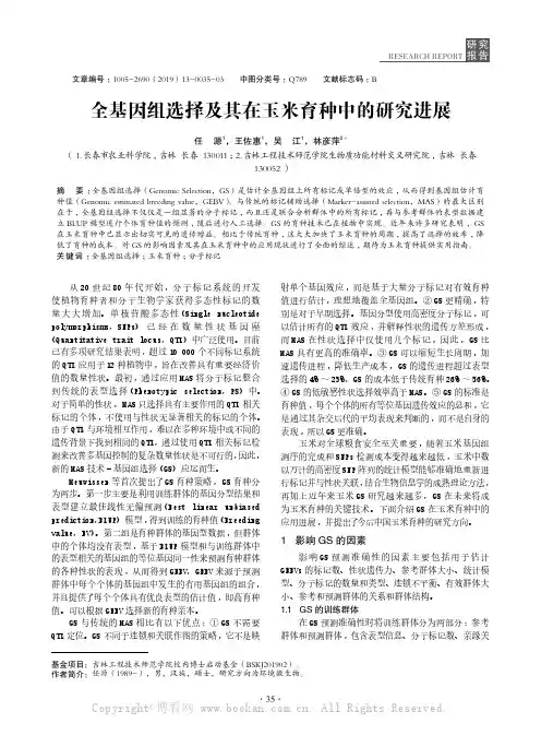 全基因组选择及其在玉米育种中的研究进展