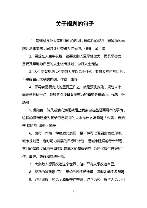 关于规划的句子