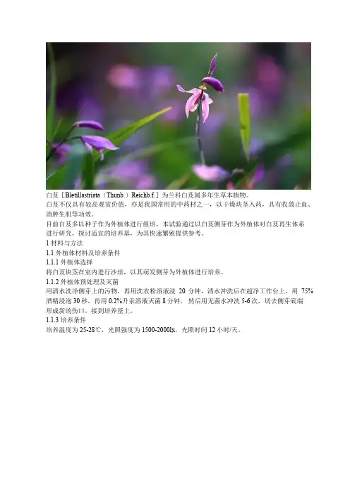 白芨组培快繁技术实例 · 附配方