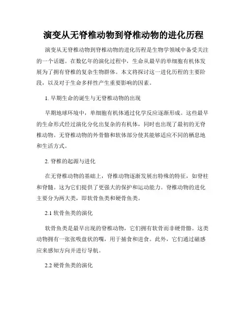演变从无脊椎动物到脊椎动物的进化历程