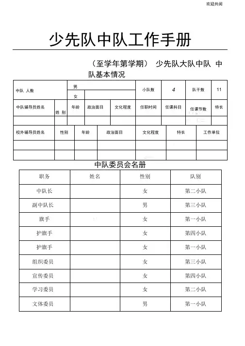 中心小学中队工作手册及总结归纳