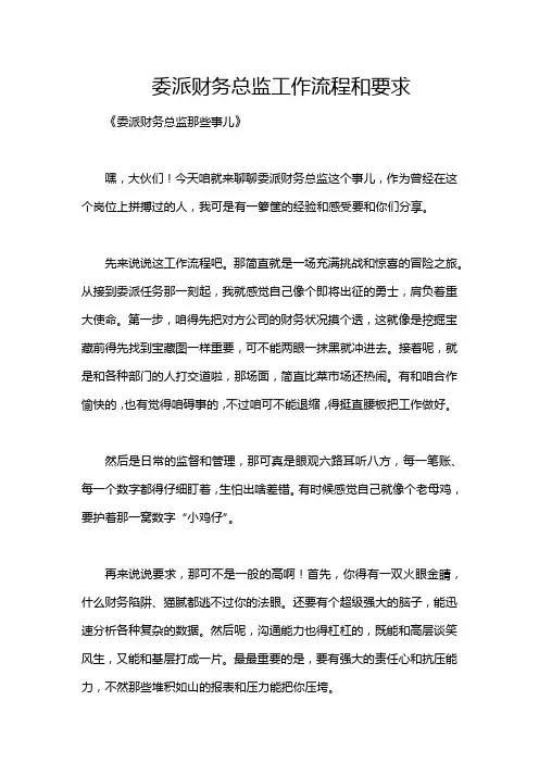 委派财务总监工作流程和要求