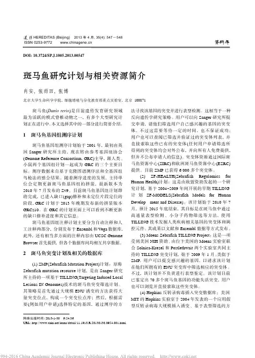 斑马鱼研究计划与相关资源简介_肖安