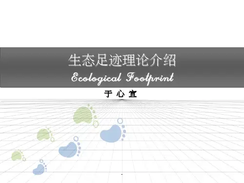 生态足迹理论