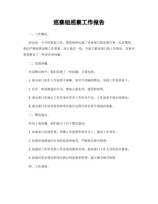 巡察组巡察工作报告