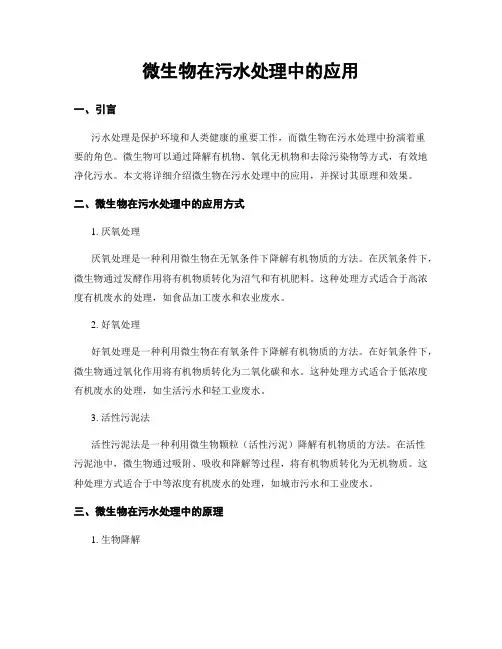 微生物在污水处理中的应用