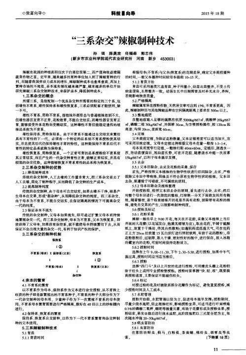 “三系杂交”辣椒制种技术