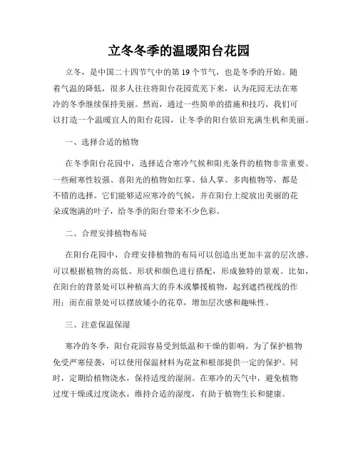 立冬冬季的温暖阳台花园