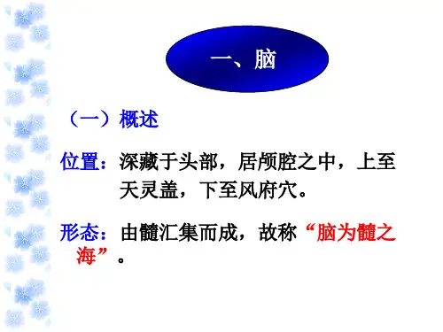 奇恒之腑脏腑关系PPT课件