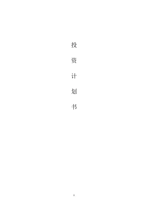 建厂投资计划书
