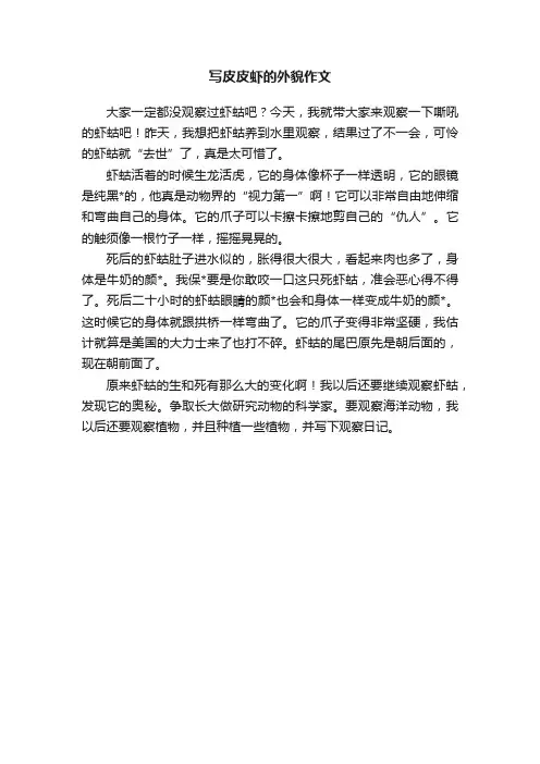 写皮皮虾的外貌作文