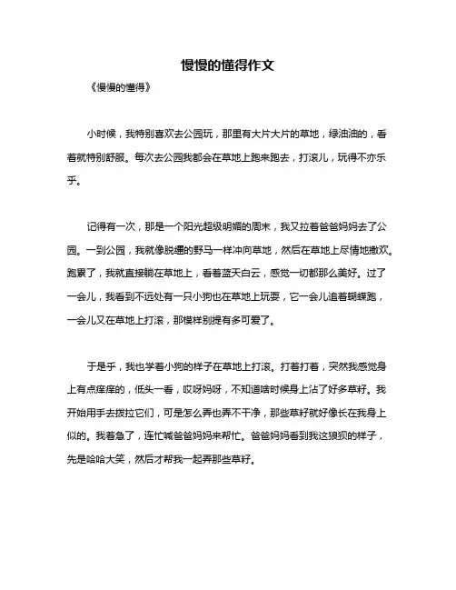 慢慢的懂得作文