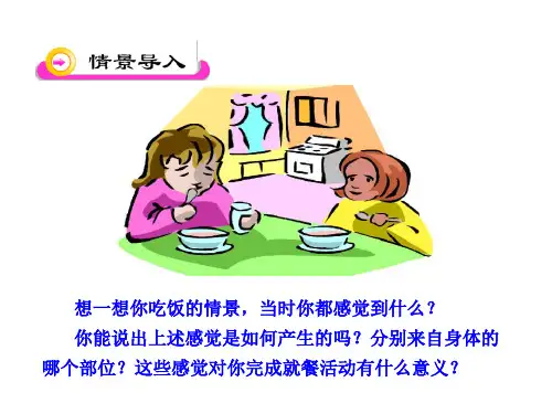 感受器和感觉器官PPT