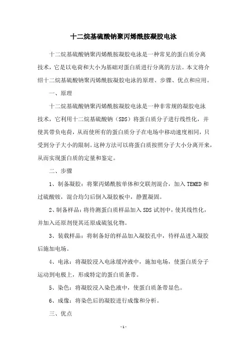 十二烷基硫酸钠聚丙烯酰胺凝胶电泳