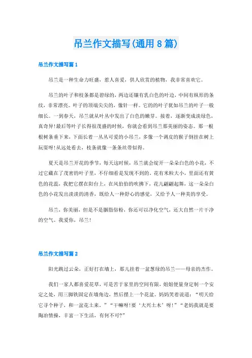 吊兰作文描写(通用8篇)
