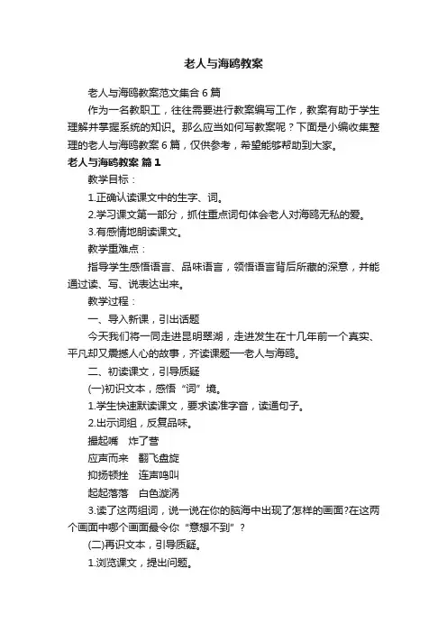 老人与海鸥教案范文集合6篇
