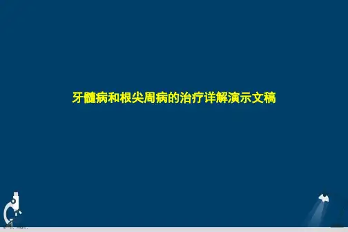 牙髓病和根尖周病的治疗详解演示文稿