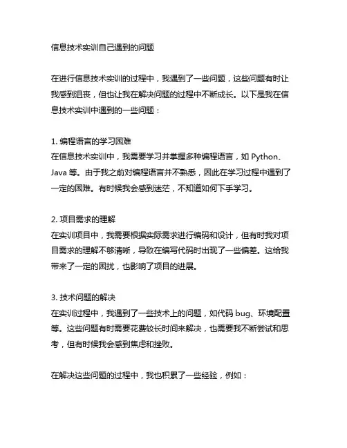 信息技术实训自己遇到的问题400字