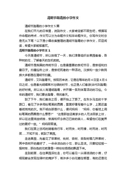 清明节踏青的小学作文5篇
