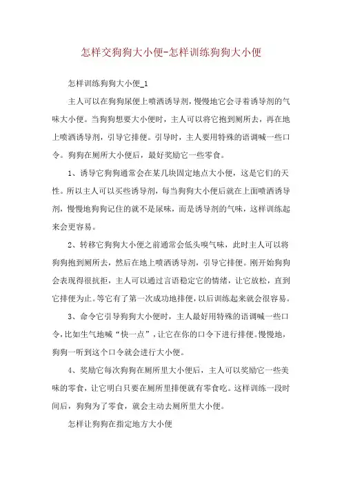 怎样交狗狗大小便-怎样训练狗狗大小便