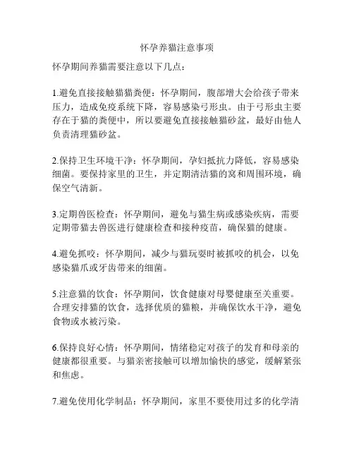 怀孕养猫注意事项