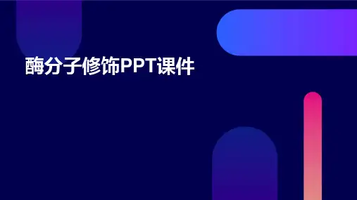 酶分子修饰PPT课件