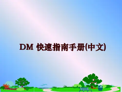 最新DM 快速指南手册(中文)