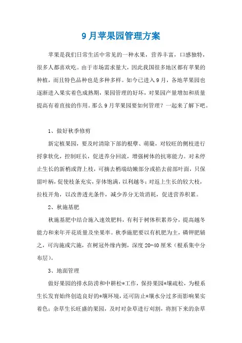 9月苹果园管理方案