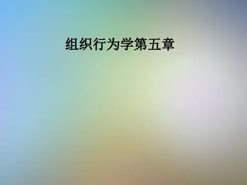 组织行为学第五章