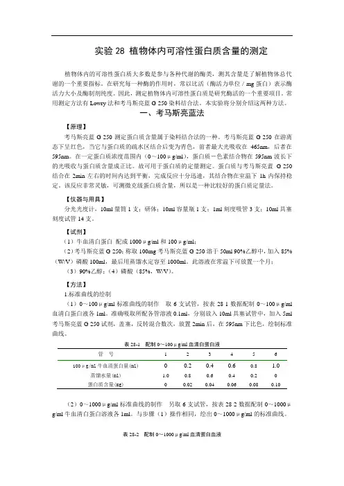 实验28 植物体内可溶性蛋白质含量的测定