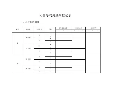 闭合导线测量数据记录测量表-副本