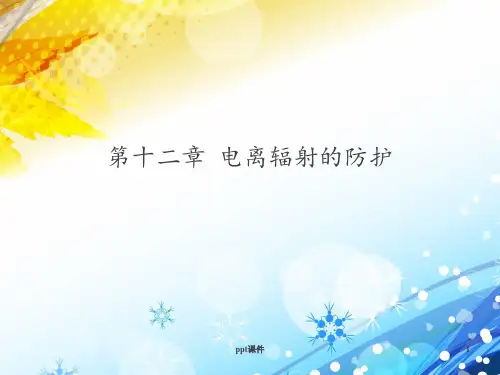 电离辐射的防护  ppt课件