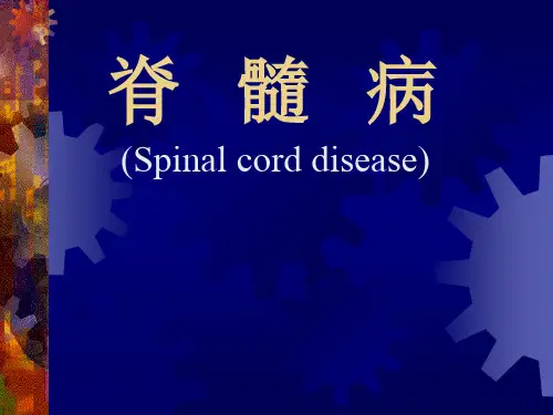 脊髓病
