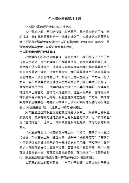 个人职业素养提升计划