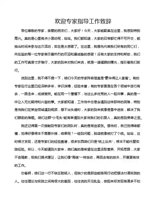 欢迎专家指导工作致辞