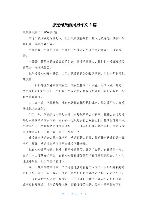 那是最美的风景作文8篇