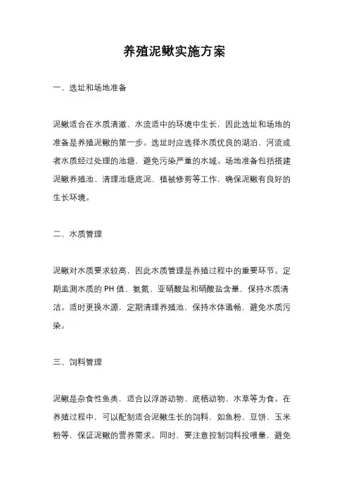 养殖泥鳅实施方案
