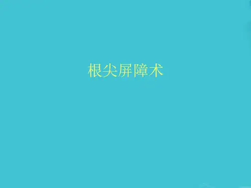 根尖屏障术