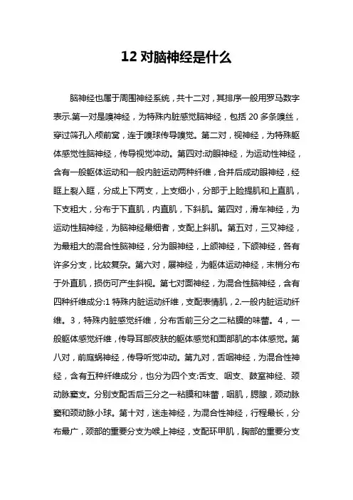 12对脑神经是什么